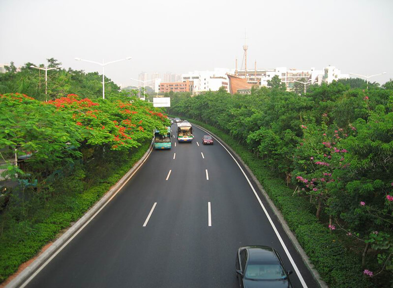 宝安区道路绿化施工